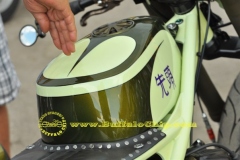 sturgis-buffalo-chip-rats-hole-bike-show-2011 (72)