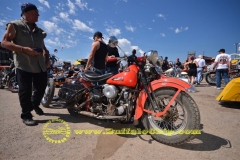 sturgis-buffalo-chip-rats-hole-bike-show-2011 (8)