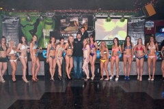 sturgis-buffalo-chip-2012-poster-model-contest (23)