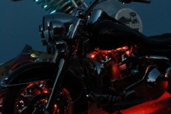 strugis-buffalo-chip-2012-bike-shows (34)