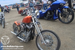 strugis-buffalo-chip-2012-bike-shows (66)