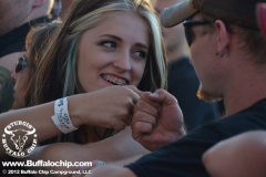 sturgis-buffalo-chip-2012-concerts-finding-clyde-adelitas-way-shinedown (23)
