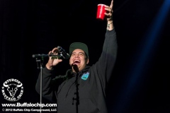 sturgis-buffalo-chip-2012-concerts-michael-holt-sublime (142)