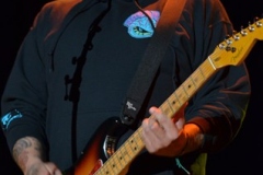 sturgis-buffalo-chip-2012-concerts-michael-holt-sublime (25)