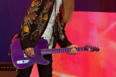 sturgis-buffalo-chip-4onthefloor-halestorm-zz-top-2013 (85)