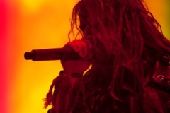sturgis-buffalo-chip-machine-head-mastodon-rob-zombie-2013 (114)