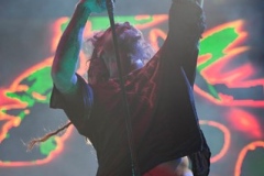 sturgis-buffalo-chip-machine-head-mastodon-rob-zombie-2013 (121)