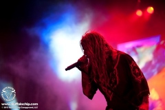 sturgis-buffalo-chip-machine-head-mastodon-rob-zombie-2013 (126)