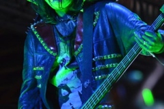 sturgis-buffalo-chip-machine-head-mastodon-rob-zombie-2013 (21)