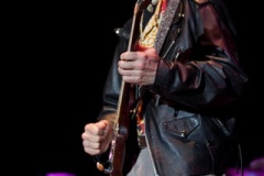 sturgis-buffalo-chip-sweet-cyanide-robby-krieger-sublime-with-rome-2013 (120)
