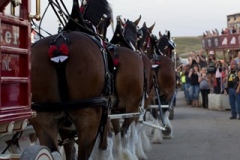 sturgis-rides-freedom-celebration128