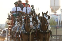 sturgis-rides-freedom-celebration130