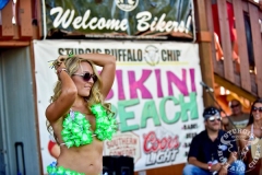 STURGIS-BUFFALO-CHIPCONCERTS-ENTERTAINMENT-046