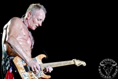 STURGIS-BUFFALO-CHIP-CONCERTS-020