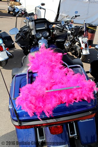 View photos from the 2016 Biker Belles Photo Gallery