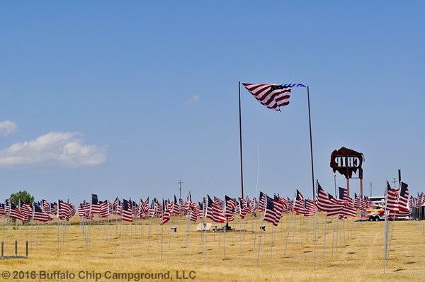 View photos from the 2016 Military Tribute Photo Gallery