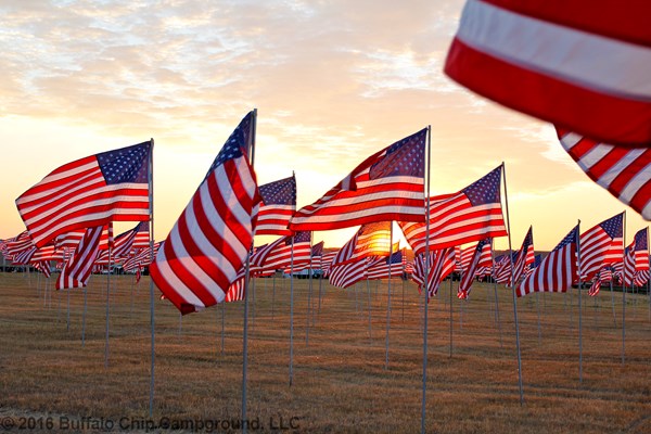 View photos from the 2016 Military Tribute Photo Gallery