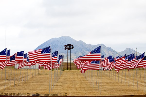 View photos from the 2016 Military Tribute Photo Gallery