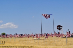 FREEDOM-CELEBRATION-MILITARY-TRIBUTE002