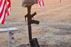 FREEDOM-CELEBRATION-MILITARY-TRIBUTE012
