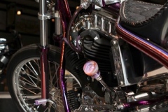 STURGIS_BIKE_SHOWS_ART_MOTORCYCLES25