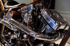 STURGIS-MOTORCYCLES-SHOW-BIKES-ART090