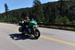 STURGIS-2018-BIKER-BELLES_057