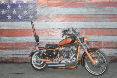 STURGIS-BUFFALO-CHIP-RATS-HOLE-BIKE-SHOW-2019 (1)