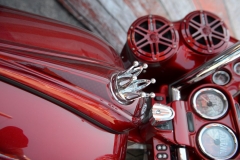 STURGIS-BUFFALO-CHIP-RATS-HOLE-BIKE-SHOW-2019 (105)
