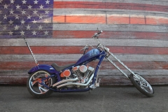 STURGIS-BUFFALO-CHIP-RATS-HOLE-BIKE-SHOW-2019 (119)