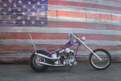 STURGIS-BUFFALO-CHIP-RATS-HOLE-BIKE-SHOW-2019 (121)