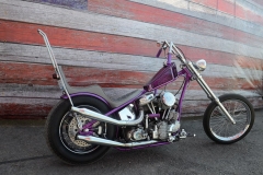 STURGIS-BUFFALO-CHIP-RATS-HOLE-BIKE-SHOW-2019 (122)