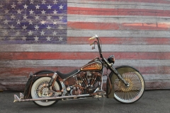 STURGIS-BUFFALO-CHIP-RATS-HOLE-BIKE-SHOW-2019 (124)