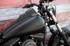 STURGIS-BUFFALO-CHIP-RATS-HOLE-BIKE-SHOW-2019 (13)