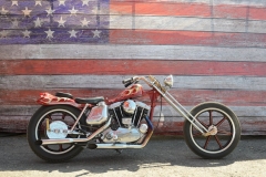 STURGIS-BUFFALO-CHIP-RATS-HOLE-BIKE-SHOW-2019 (139)