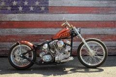 STURGIS-BUFFALO-CHIP-RATS-HOLE-BIKE-SHOW-2019 (140)