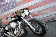 STURGIS-BUFFALO-CHIP-RATS-HOLE-BIKE-SHOW-2019 (21)
