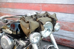 STURGIS-BUFFALO-CHIP-RATS-HOLE-BIKE-SHOW-2019 (22)