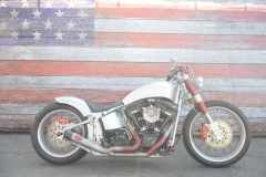 STURGIS-BUFFALO-CHIP-RATS-HOLE-BIKE-SHOW-2019 (29)