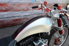 STURGIS-BUFFALO-CHIP-RATS-HOLE-BIKE-SHOW-2019 (32)
