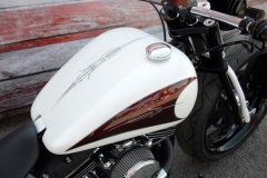 STURGIS-BUFFALO-CHIP-RATS-HOLE-BIKE-SHOW-2019 (40)