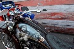 STURGIS-BUFFALO-CHIP-RATS-HOLE-BIKE-SHOW-2019 (45)