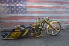 STURGIS-BUFFALO-CHIP-RATS-HOLE-BIKE-SHOW-2019 (51)