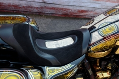 STURGIS-BUFFALO-CHIP-RATS-HOLE-BIKE-SHOW-2019 (53)