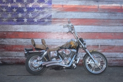 STURGIS-BUFFALO-CHIP-RATS-HOLE-BIKE-SHOW-2019 (6)