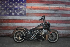 STURGIS-BUFFALO-CHIP-RATS-HOLE-BIKE-SHOW-2019 (90)
