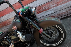STURGIS-BUFFALO-CHIP-RATS-HOLE-BIKE-SHOW-2019 (91)