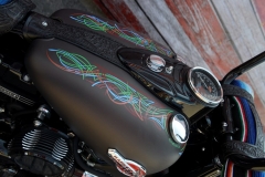 STURGIS-BUFFALO-CHIP-RATS-HOLE-BIKE-SHOW-2019 (93)