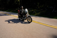 STURGIS-BUFFALO-CHIP-BIKER-BELLES-2019 (109)