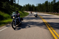 STURGIS-BUFFALO-CHIP-BIKER-BELLES-2019 (116)